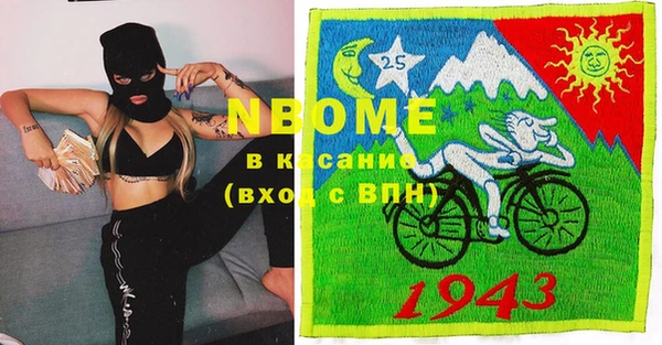 индика Абдулино
