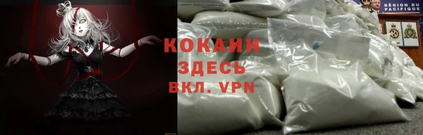индика Абдулино