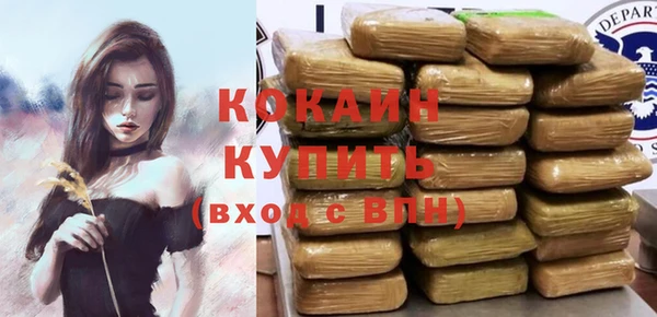 соль ск Кукмор